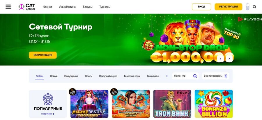 Пример Cat Casino - сайт казино чтобы играть онлайн